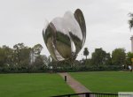 Floralis Generica